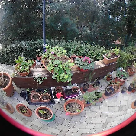 Bed & Breakfast La Casa Di Ulisse *