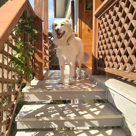 Bed & Breakfast La Casa Di Ulisse