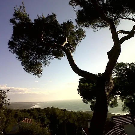 La Casa Di Ulisse Bed & Breakfast Quercianella