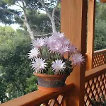 La Casa Di Ulisse Frühstückspension 4*