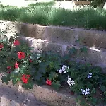 La Casa Di Ulisse Quercianella