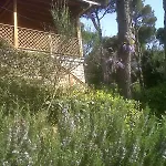 La Casa Di Ulisse Quercianella