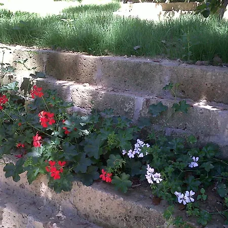 La Casa Di Ulisse Quercianella