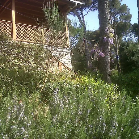 La Casa Di Ulisse Quercianella